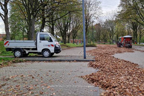 In den nächsten Tagen sammelt der ZBH seine Laubsäcke ein, die von Bürgerinnen und Bürgern zuvor gefüllt und an den Straßenrand gestellt wurden (Foto: Stadt Herten).