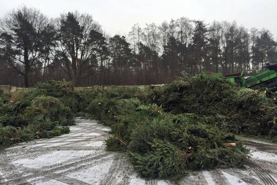 Die Weihnachtsbäume werden erst gesammelt und anschließend zerkleinert, geschreddert und gesiebt. 