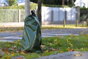 Ein Sack zum Gießen von Bäumen