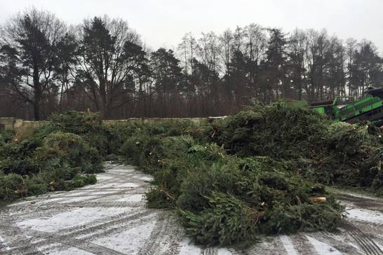 Nach dem Einsammeln wird der Weihnachtsbaumhaufen zerkleinert, geschreddert und gesiebt. Nach dem Einsammeln wird der Weihnachtsbaumhaufen zerkleinert, geschreddert und gesiebt.