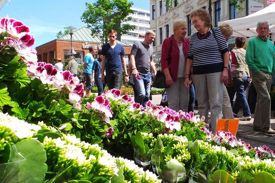 Beim 19. Blumen- und Gartenmarkt am 20. und 21. Mai wird die Innenstadt wieder zum Blumenparadies. Beim 19. Blumen- und Gartenmarkt am 20. und 21. Mai wird die Innenstadt wieder zum Blumenparadies.
