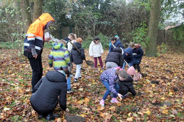 28 Schülerinnen und Schüler der Klasse 3c der Goetheschule in Herten nahmen an der Pflanzaktion des ZBH teil (Foto: ZBH).


