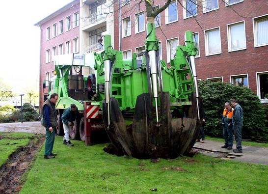 Umpflanzung Amberbäume 2 (04.04)