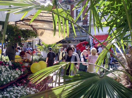 Blumenmarkt 1 (05.03) Blumenmarkt 1 (05.03)
