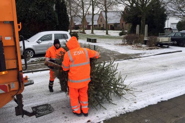 Noch im Dunkeln kurz vor sieben geht es in jedem Jahr los. Straße für Straße fahren die Trupps ab, um die kratzigen, ausgedienten Nadelbäume zu entdecken und einzuladen.