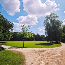 
                                Wiesenfläche im Schlosspark
                            