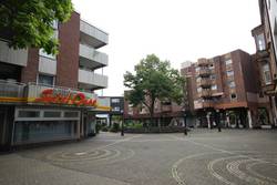 Foto: Ansicht der südlichen Ewaldstraße mit Blickrichtung Bramhügel