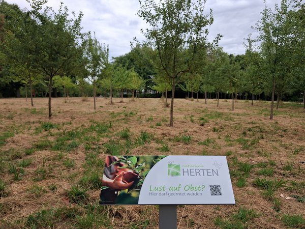 Städtische Obstwiesen in Herten