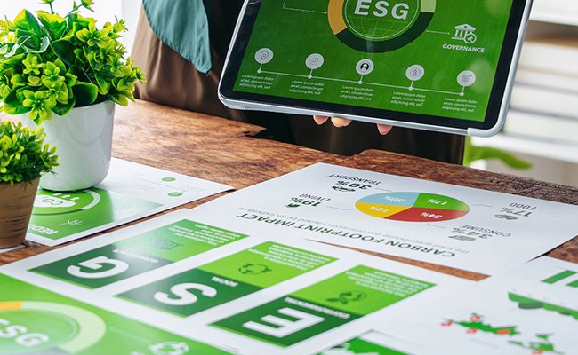 Nahaufnahme auf Berichte eines Umweltprojektes