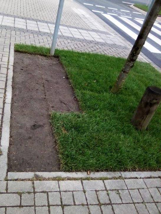 Am Kreisverkehr vom dem Gelände Schlägel & Eisen entwendeten Unbekannte in der vergangenen Woche rund mehrere Quadratmeter Rollrasen.