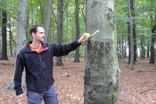 Lars Kuhnt vom ZBH markiert die Bäume, die später gefällt werden, um anderen Bäumen mehr Raum zum gesunden Wachsen zu geben.