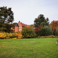 
                                Schlosspark mit Blick zum Schloss
                            