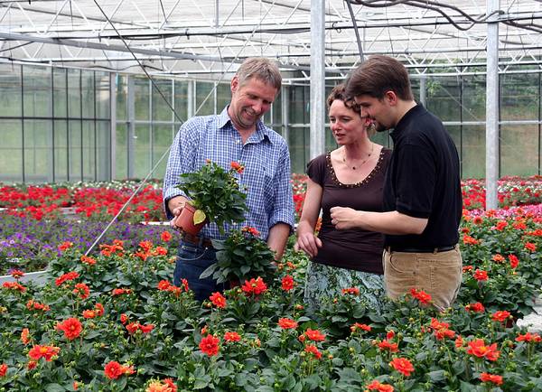 Besuch bei Franzen - im Gewächshaus (07/06)
