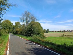 
                        Allee des Wandels an der Grenze zu Recklinghausen
                    