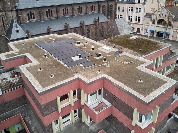 Erste geförderte Dachbegrünungen in der Innenstadt 