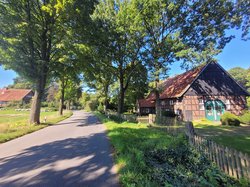 
                            In der Ried
                        